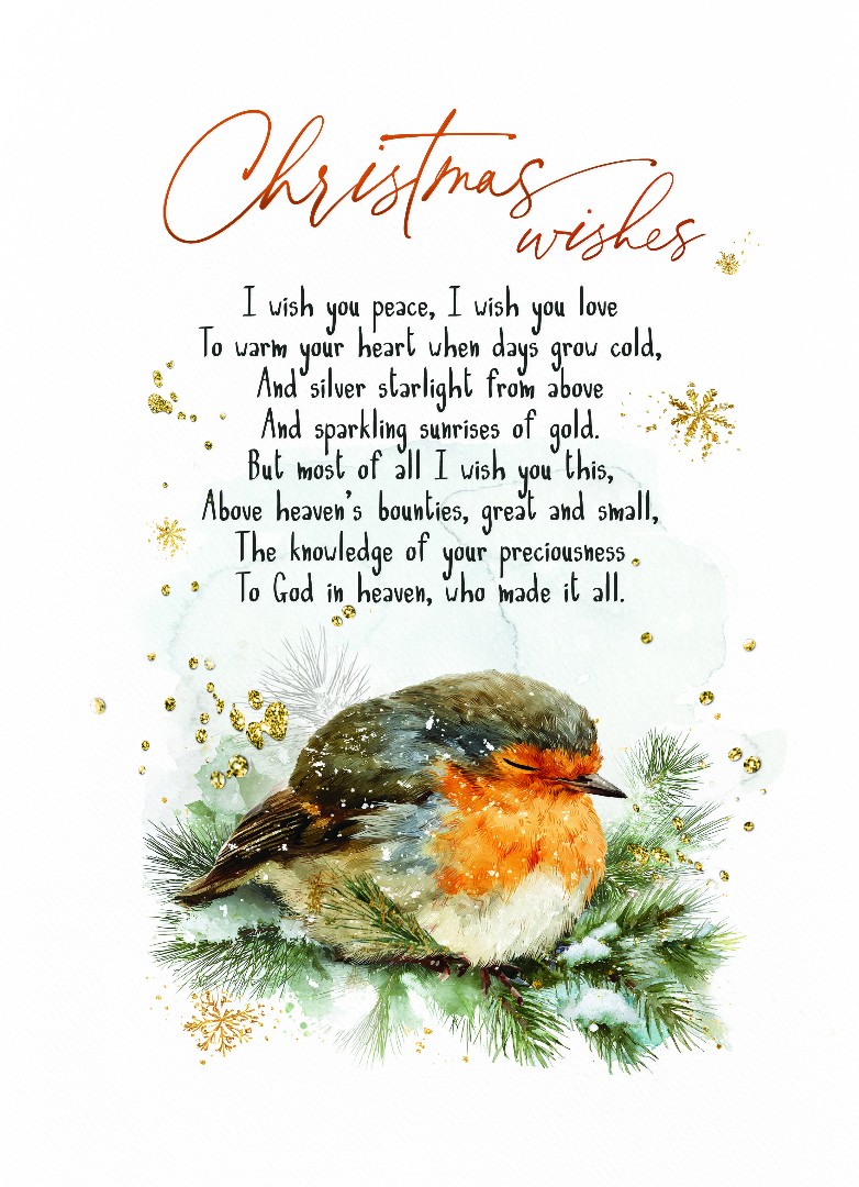 Robin Christmas Wishes Bible Card