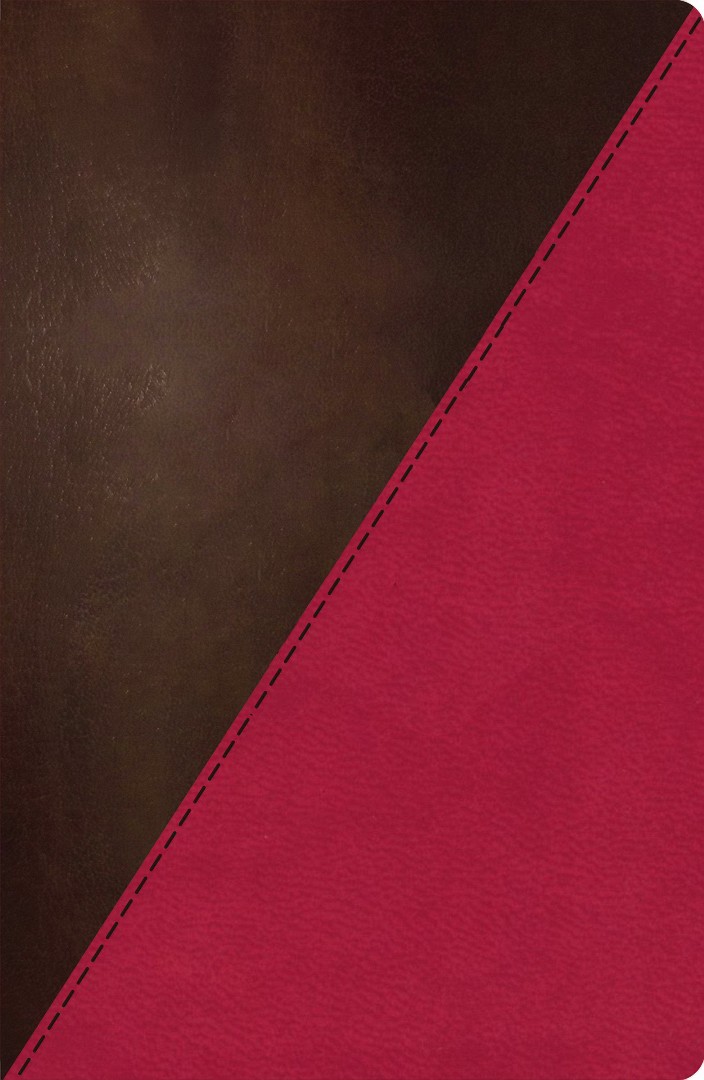 The NKJV Study Bible