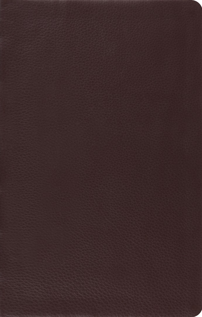 ESV Large Print Thinline Reference Bible (Brown)