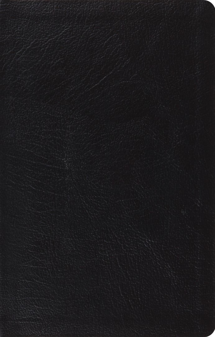 ESV Large Print Thinline Reference Bible (Black)