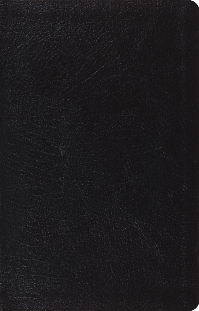 ESV Large Print Thinline Reference Bible (Black)