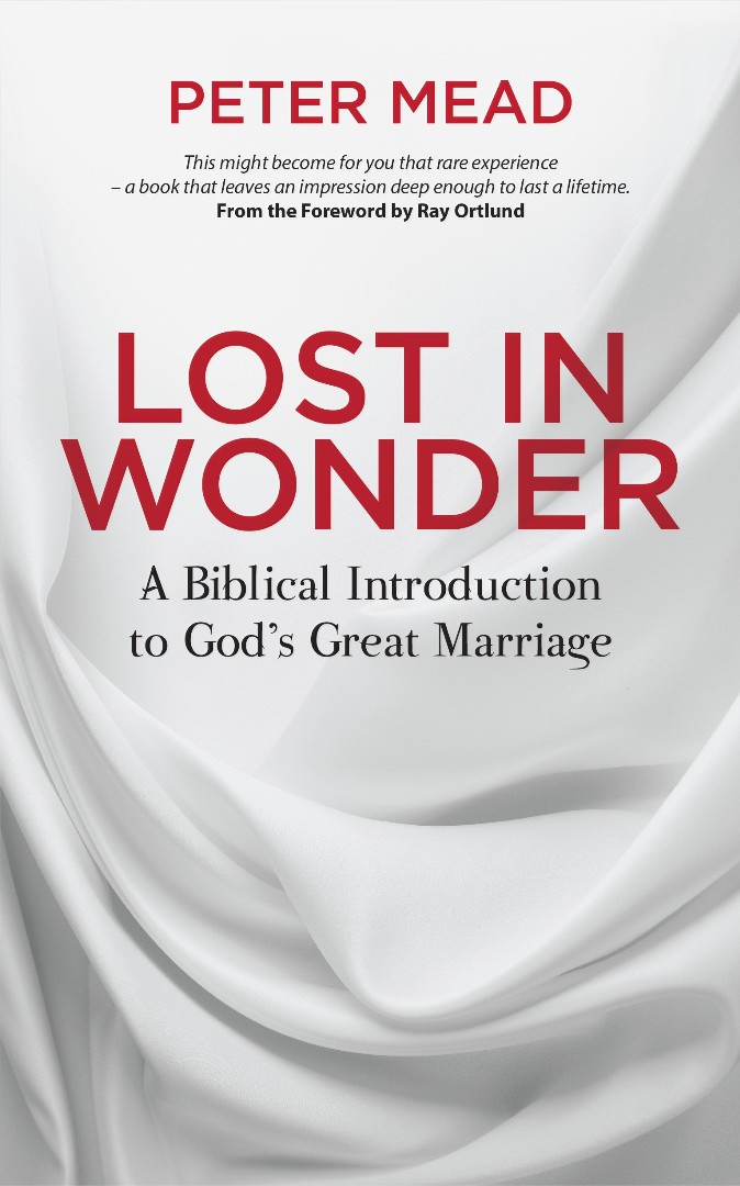 Lost in Wonder