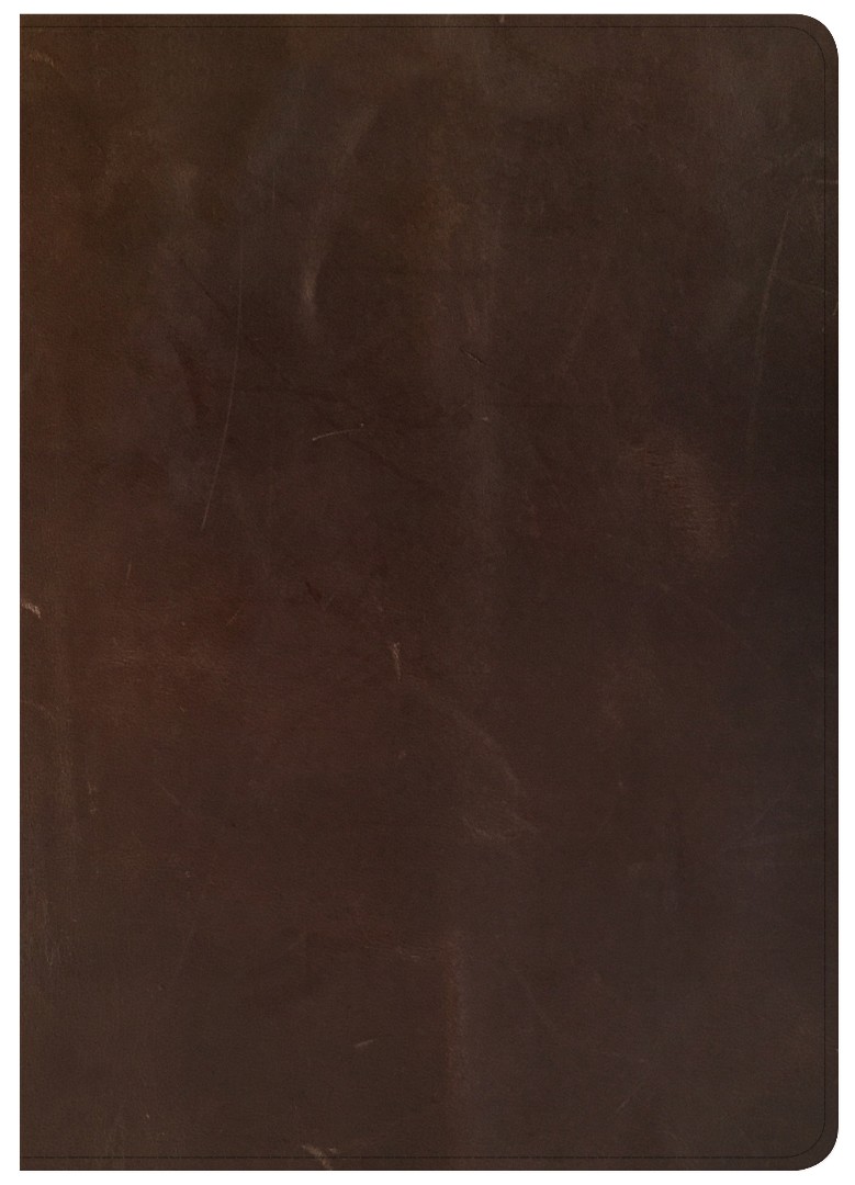 CSB She Reads Truth Bible, Brown Genuine Leather