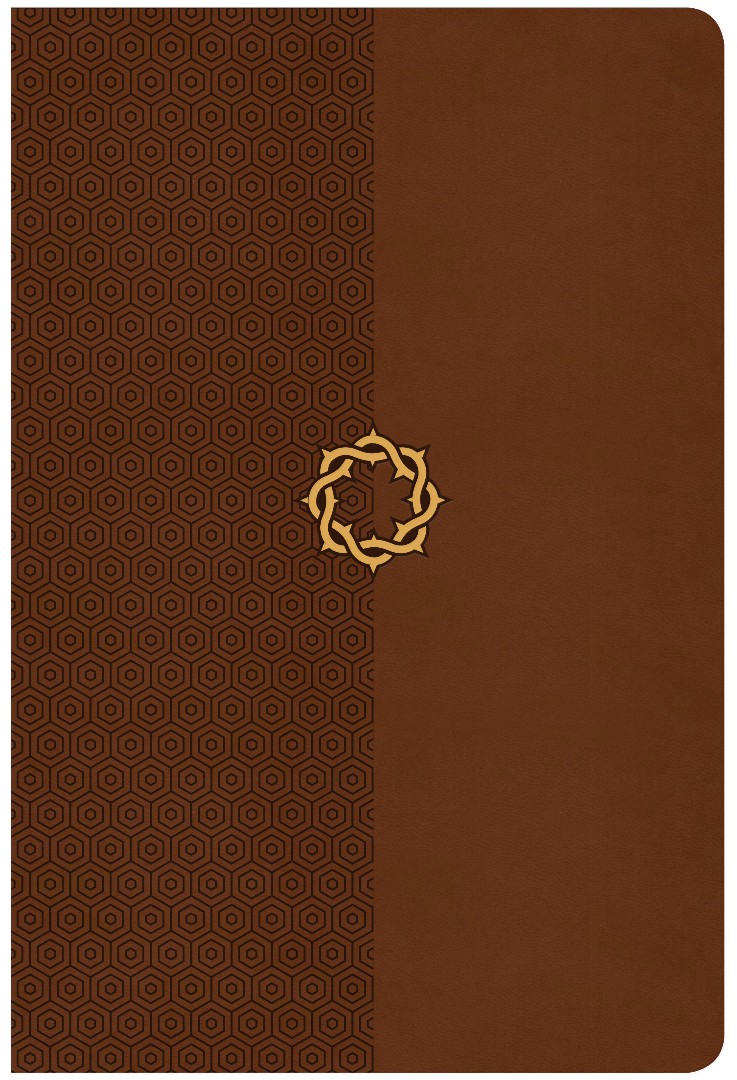 CSB Essential Teen Study Bible, Walnut Leathertouch