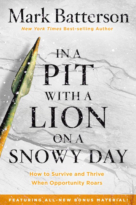 In a Pit With a Lion on a Snowy Day