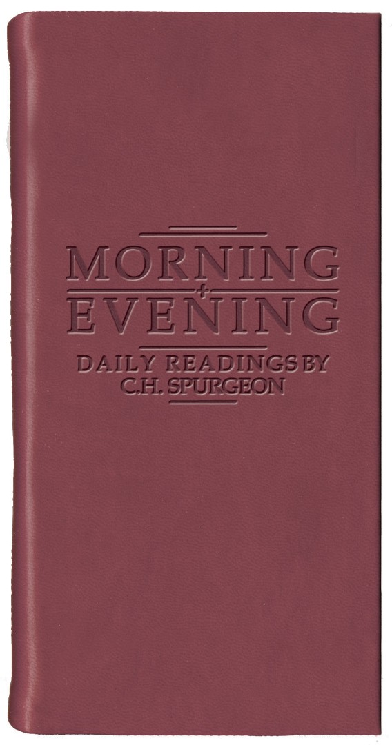 Morning And Evening Burgundy