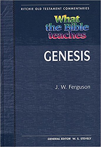 WTBT Vol 1 OT Genesis