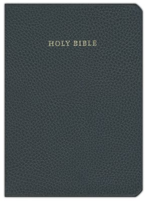 NIV Clarion Reference Bible, Calf Split Leather, NI484:X