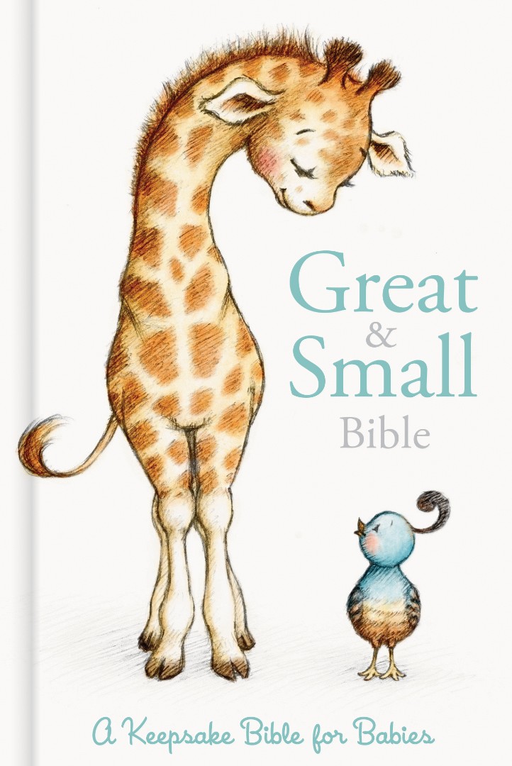 CSB Great and Small Bible (boxed)