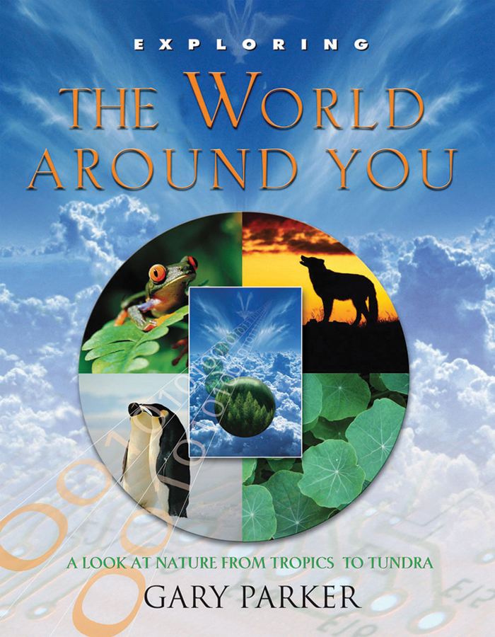 Exploring The World Around You