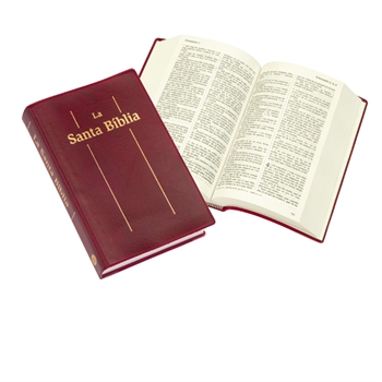 Catalan Bible Medium sized