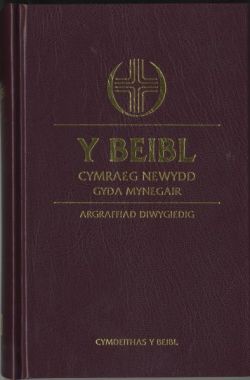 Beibl Cymraeg Newydd Revised with Concordance