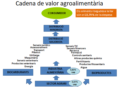 Draft Domingo 551518317-image2.png