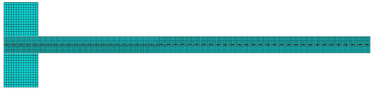 The finite element model.