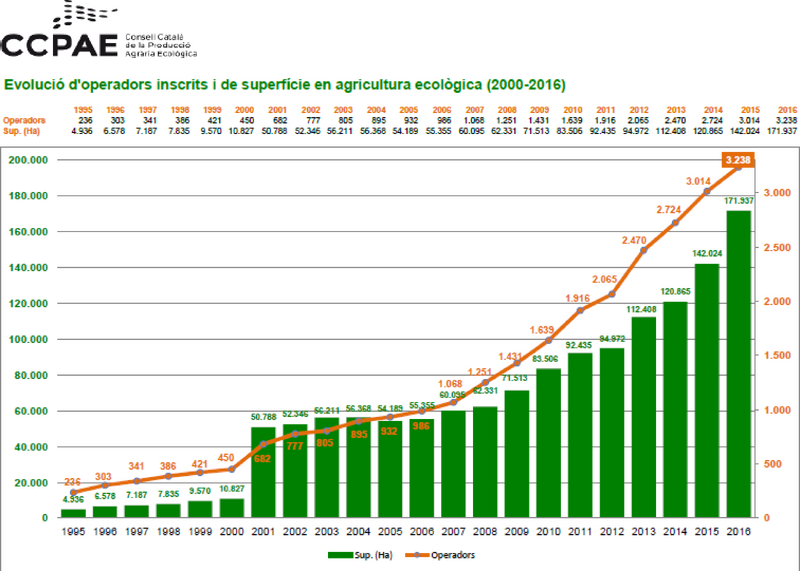 File:Draft Domingo 551518317-image10.png