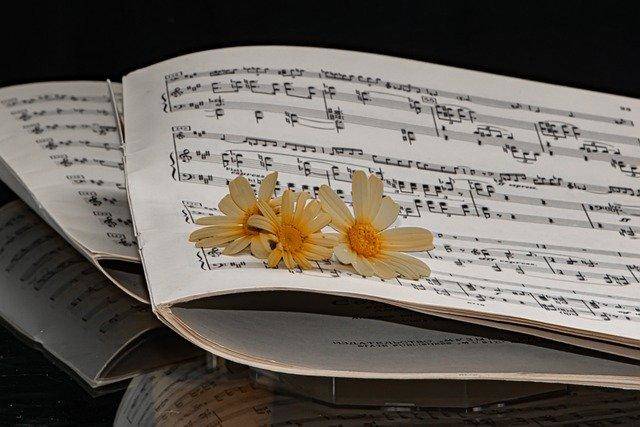 Foto: www.pixabay.com/Ri_Ya