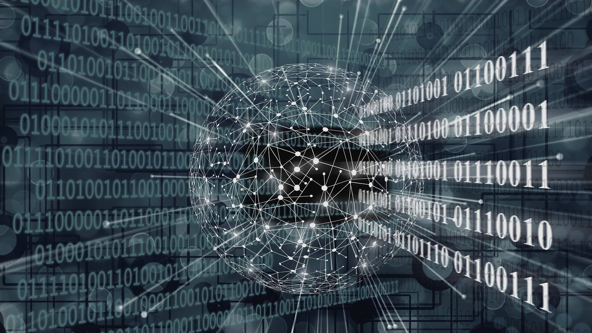 Immagine: binary-code_software_Gerd Altmann_Pixabay