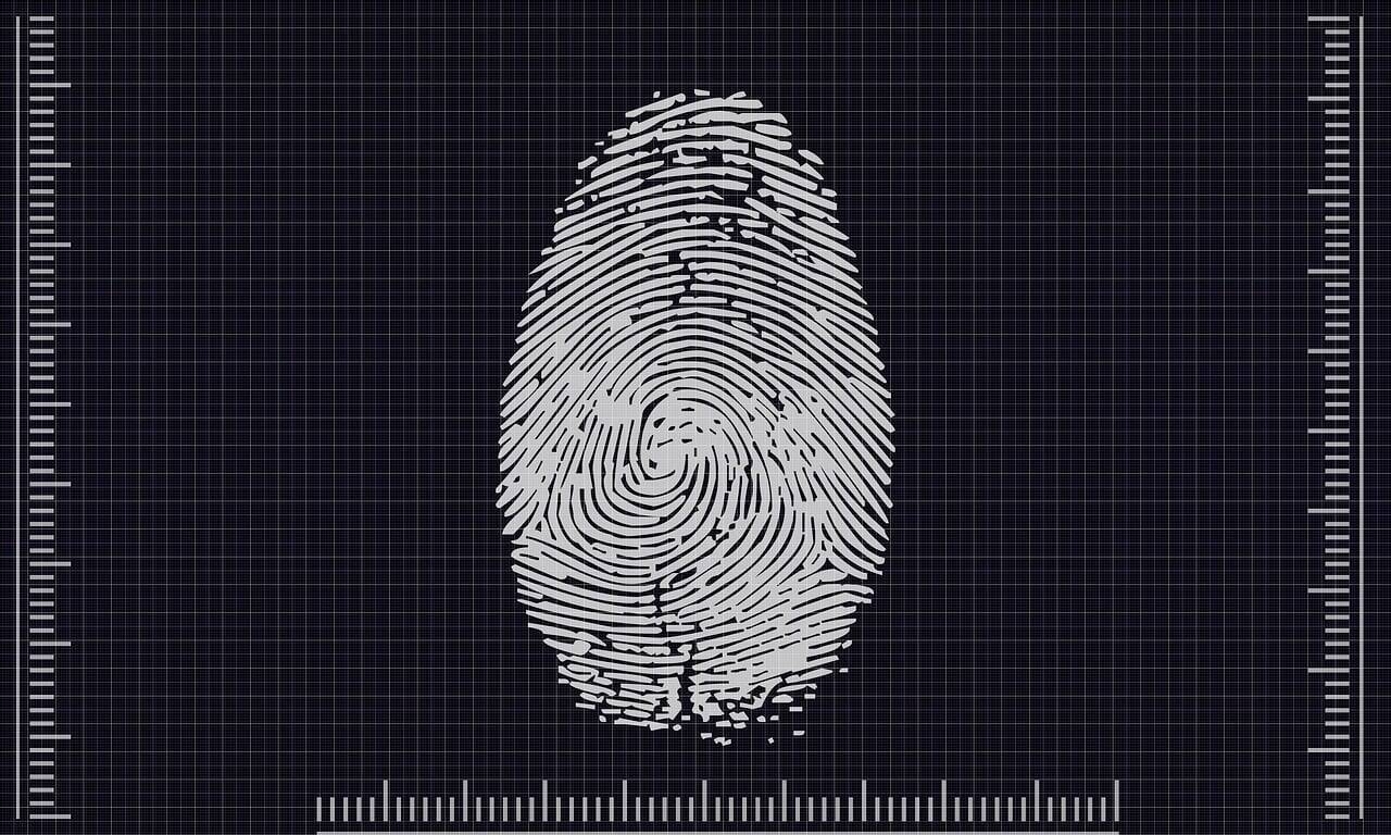 Immagine: biometrics-Foto di Pete Linforth da Pixabay