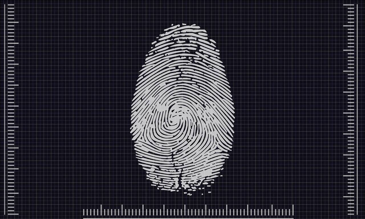Immagine: biometrics_Pete Linforth da Pixabay