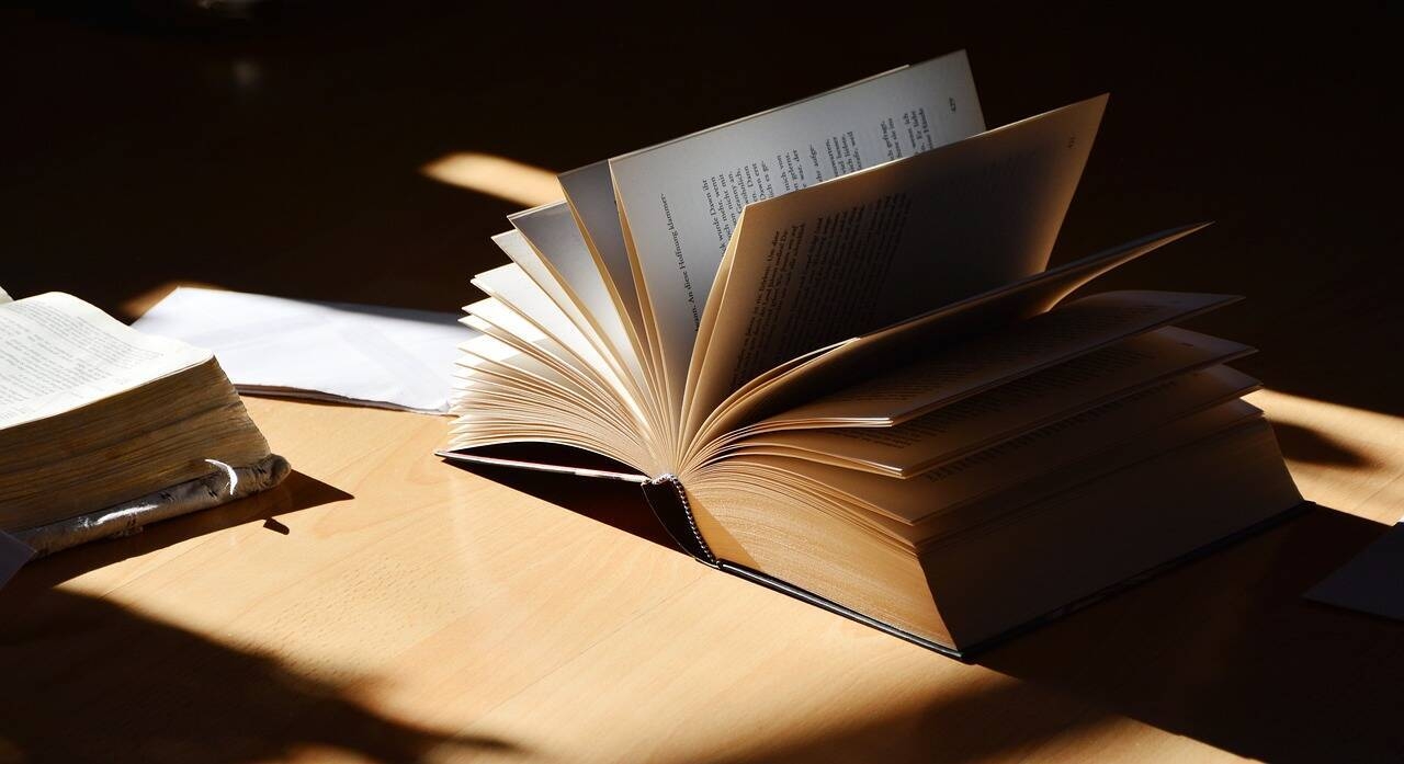 Immagine: CODICE APPALTI_congerdesign da Pixabay