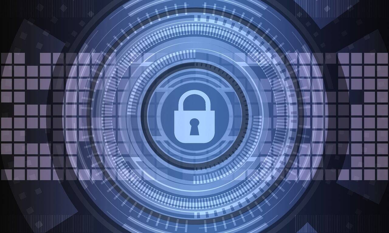 Immagine: cyber-security-gf5f5a2315_1280