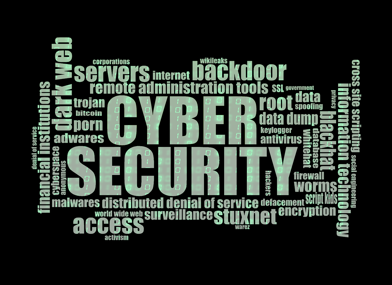Immagine: cyber-security_Darwin Laganzon da Pixabay