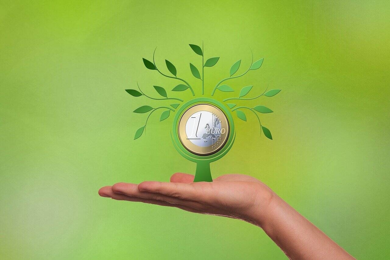 Immagine: financing-Foto di Gerd Altmann da Pixabay (2)