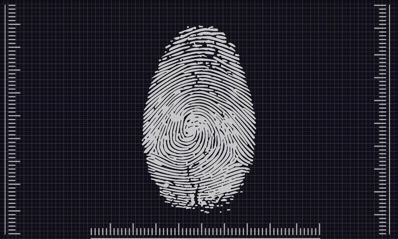 Immagine: identita digitale_Foto di Kris da Pixabay