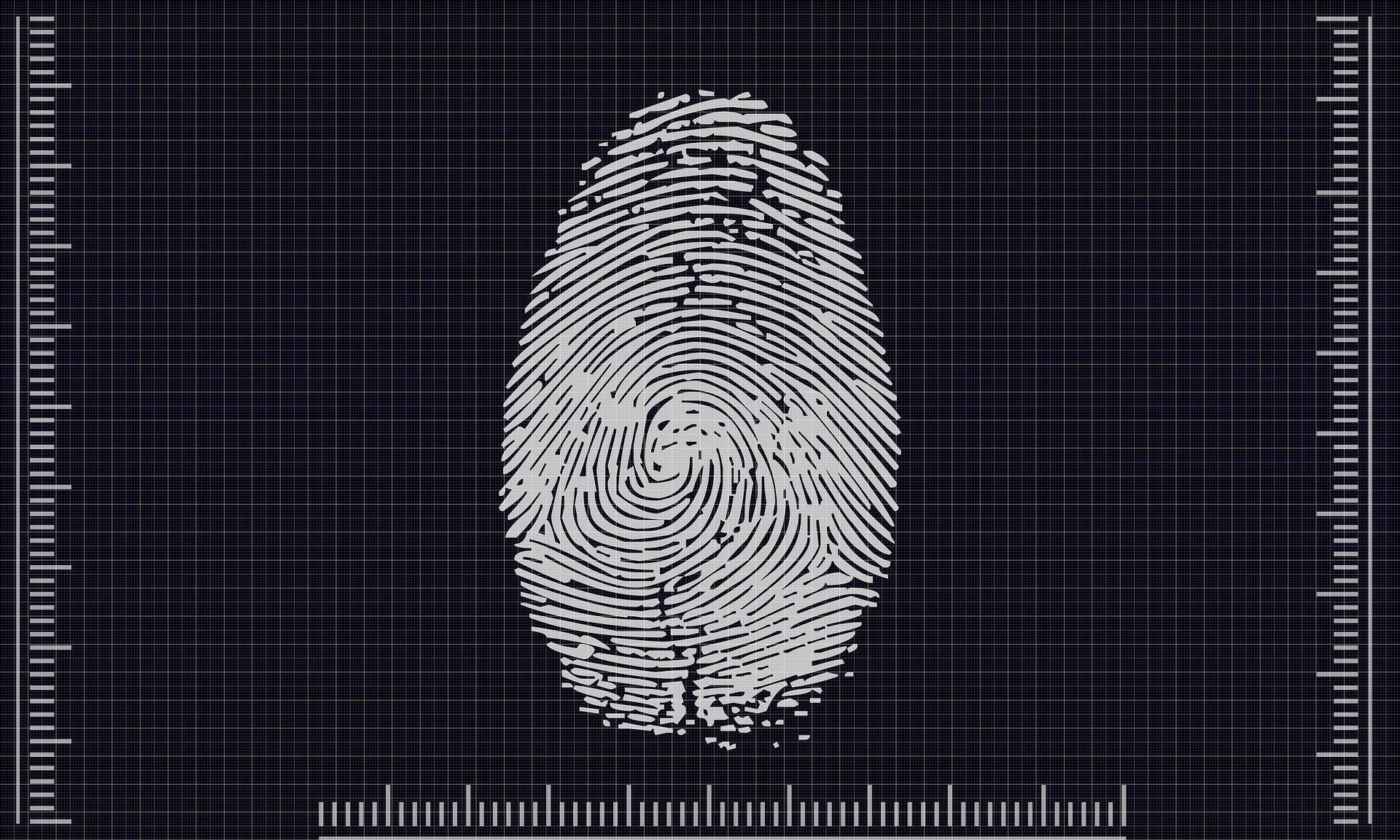Immagine: identità_biometrics_Pete Linforth_Pixabay