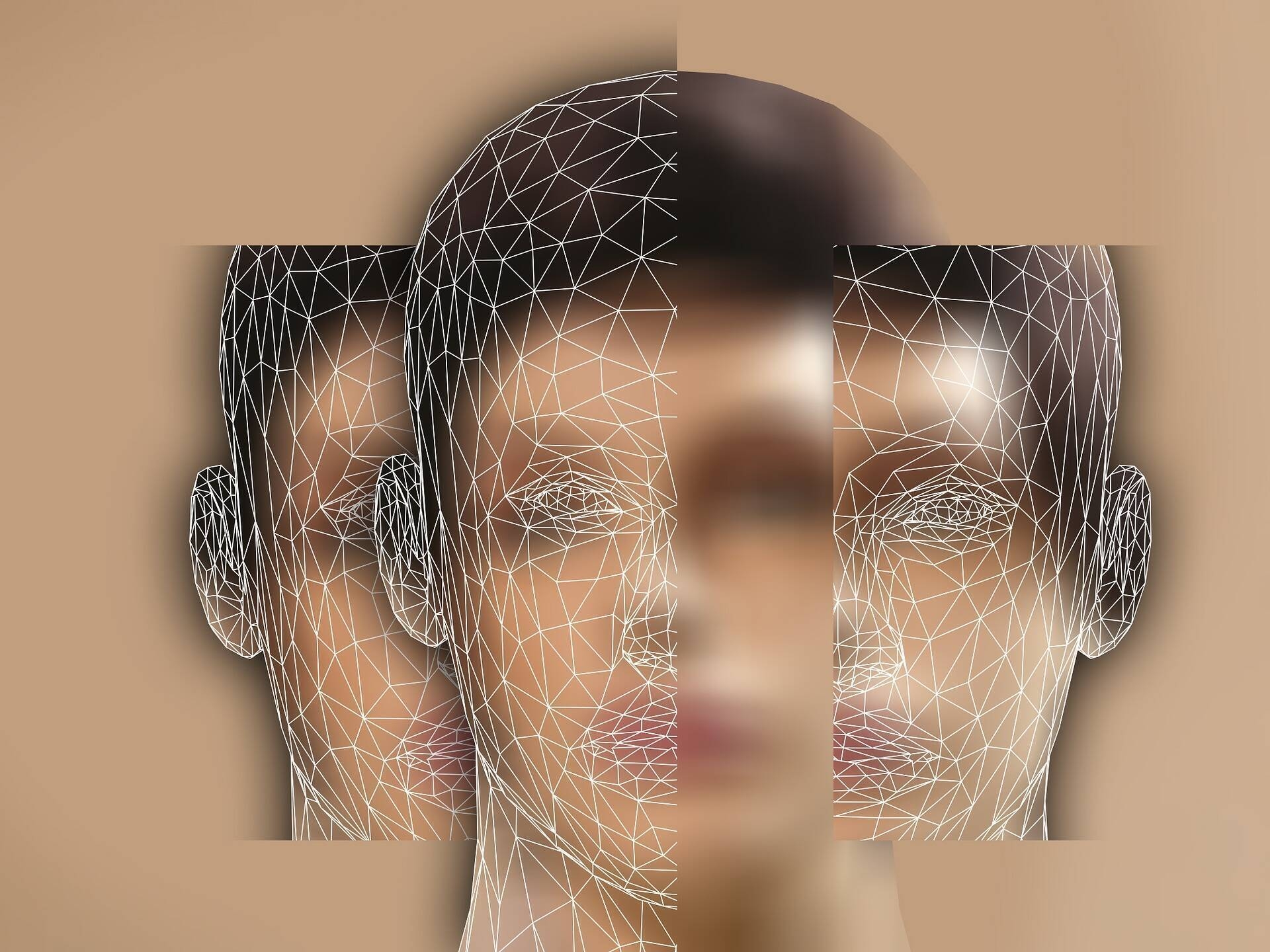Immagine: idnetità digitale_Gerd Altmann_Pixabay