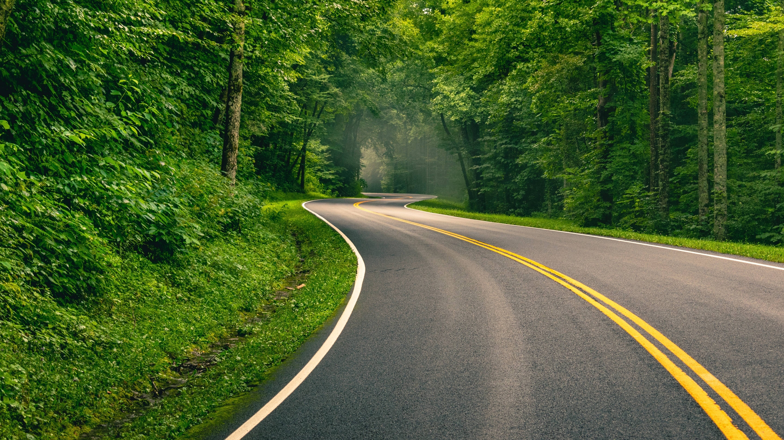Immagine: oblio_brandon-frie_unsplash