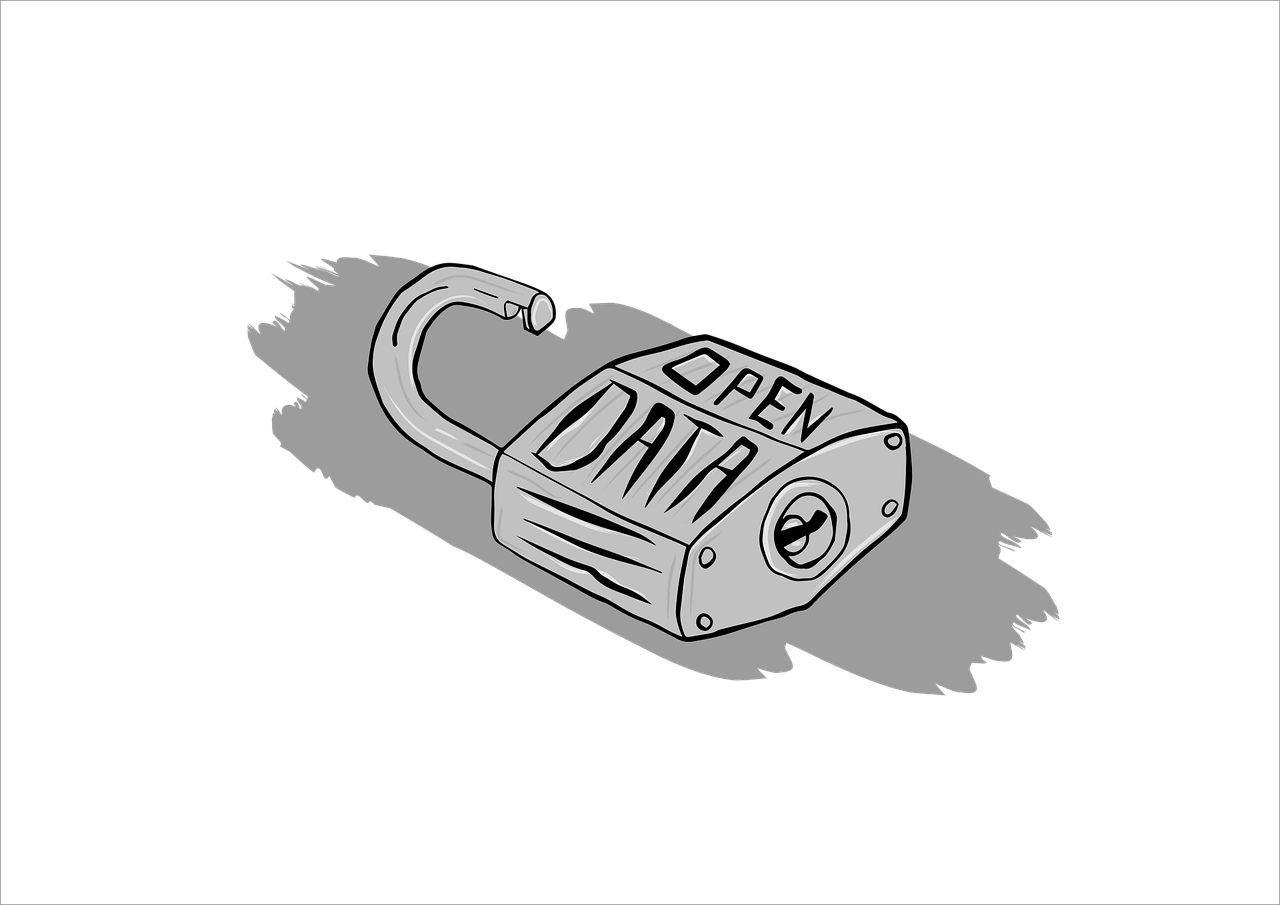 Immagine: open-data-NewUnion_org da Pixabay
