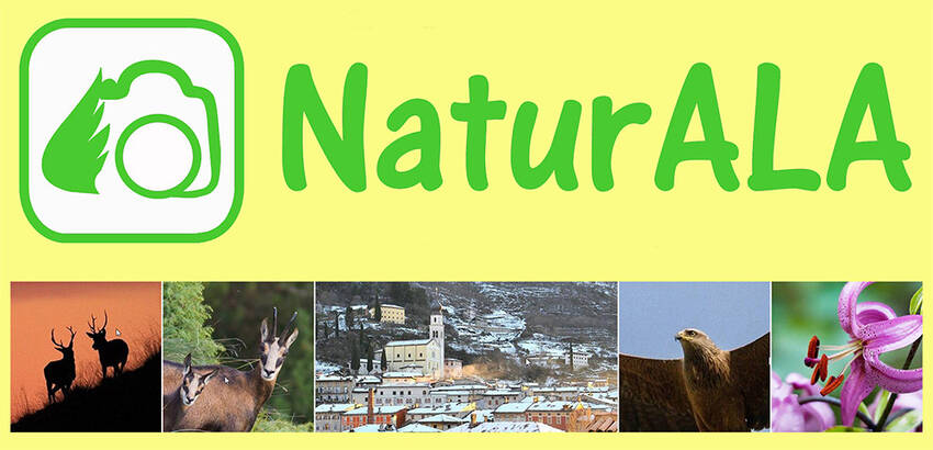 NaturALA