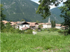 Immagine decorativa
