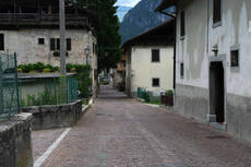 Immagine decorativa