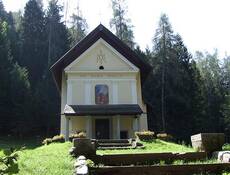 Immagine decorativa