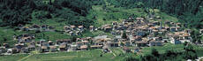 Immagine decorativa