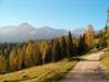 Immagine decorativa