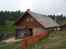 Immagine decorativa