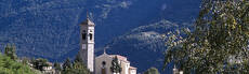 Immagine decorativa