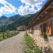 Immagine decorativa