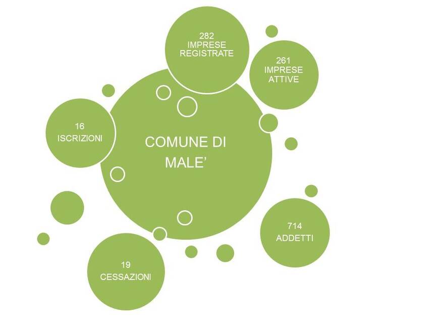 3. Andamento delle imprese nel territorio del Comune di Malè