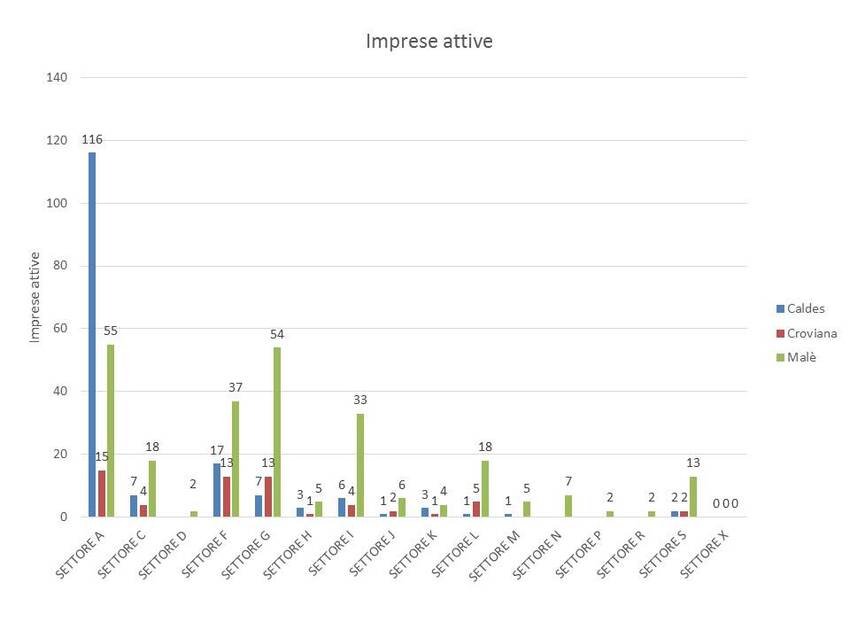 6. Imprese attive nel territorio dei Comuni di Caldes, Croviana e Malè