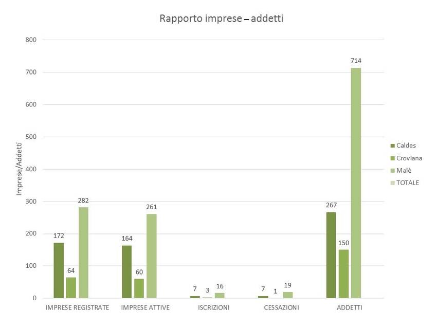 8. Rapporto imprese-addetti nel territorio dei Comuni di Caldes, Croviana e Malè