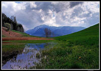Immagine decorativa