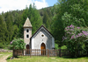 Immagine decorativa