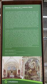 Immagine decorativa