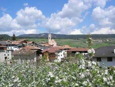 Immagine decorativa