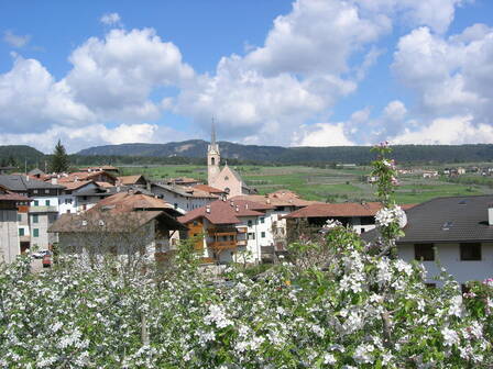 Immagine decorativa