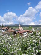 Immagine decorativa